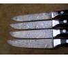 Damascus Kitchen Knife set left